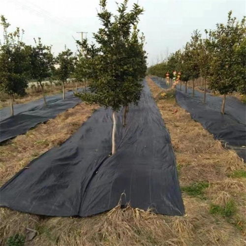 工農業除草布 抗老化防草布與防草地布的選擇指南